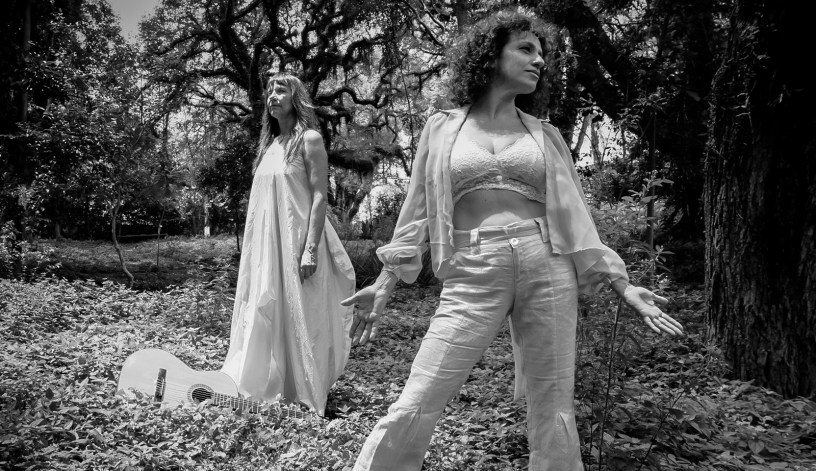 Asas para Ana C... - Camila Rios (23)