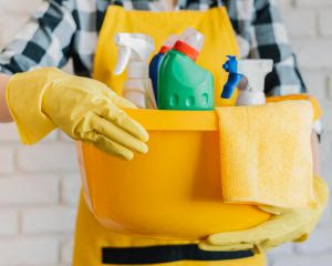 dia-mundial-da-limpeza